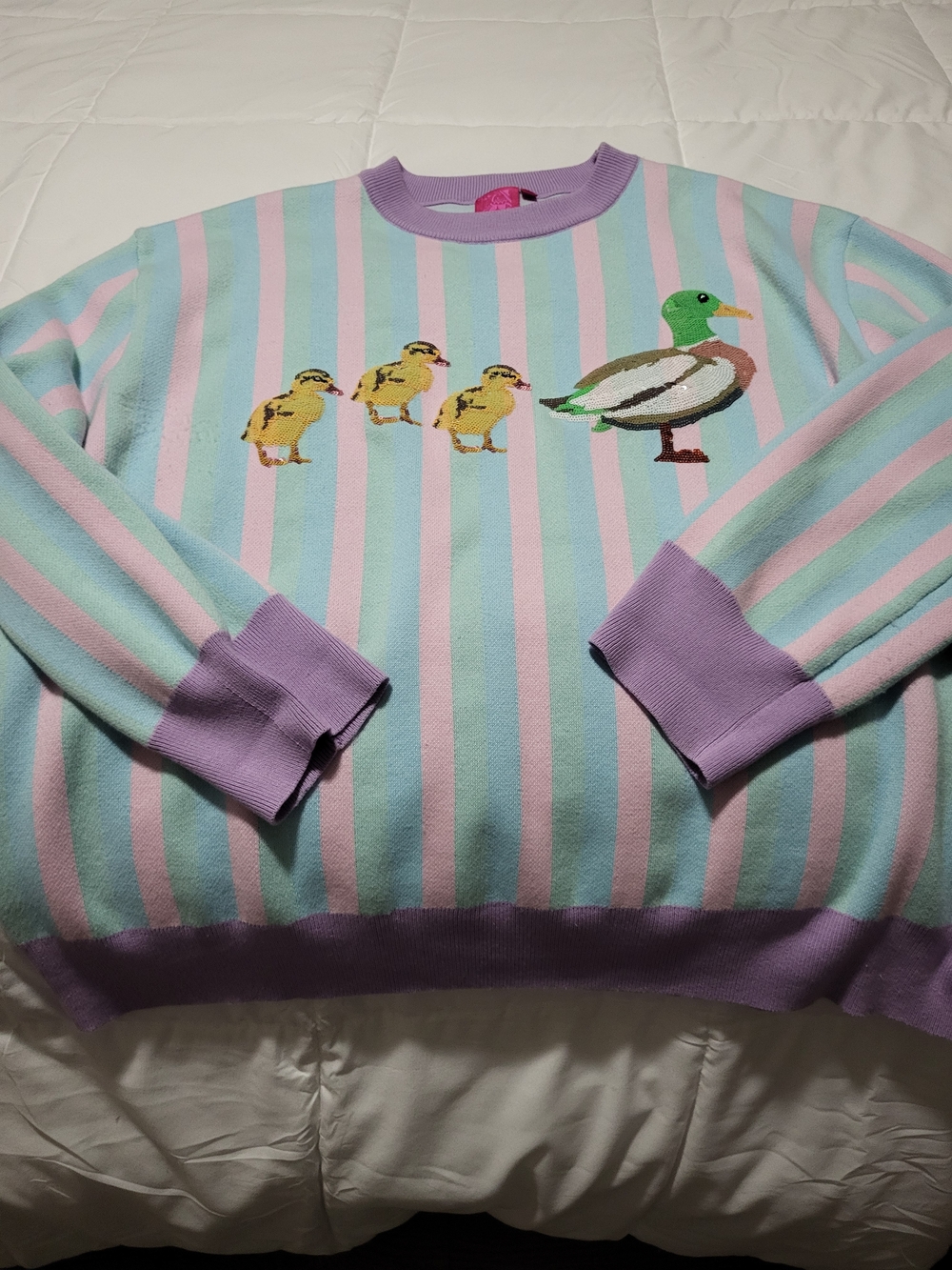 Queen Of Sparkles Pastel Striped Crewneck Sweater with Duck Motif